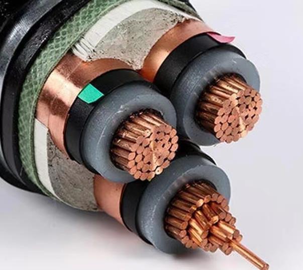 江西粤工电线电缆2025年1月18日案例-2