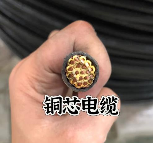 江西粤工电缆：五月八日新出案例