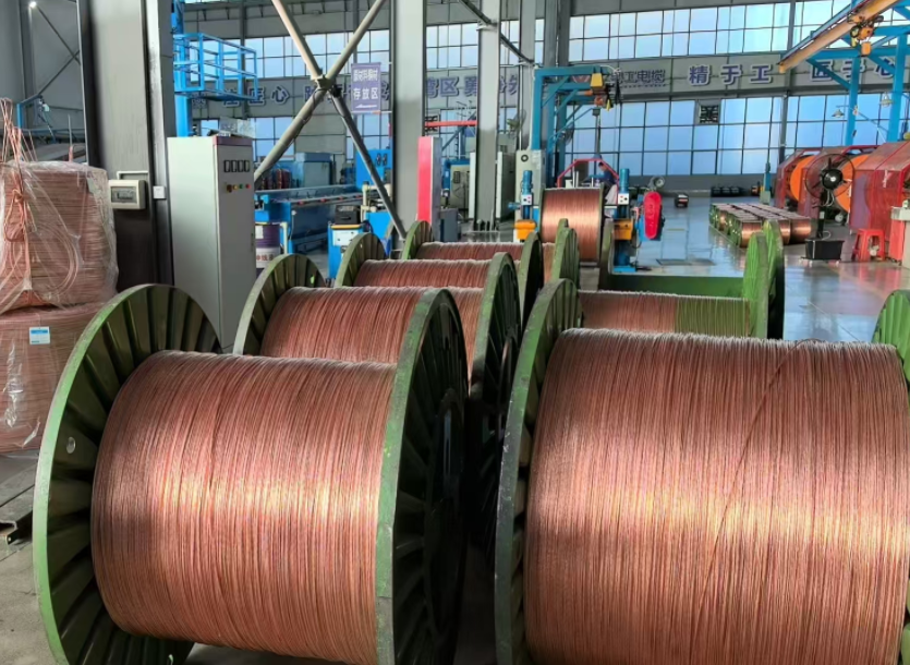 江西南昌电线电缆：8月10日制造工艺-6